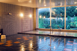 �@���K�[�f���n�E�X�}���[�m